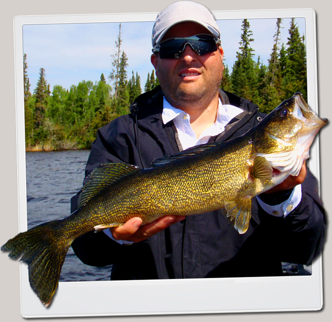 Walleye Fishing Tips, Ontario